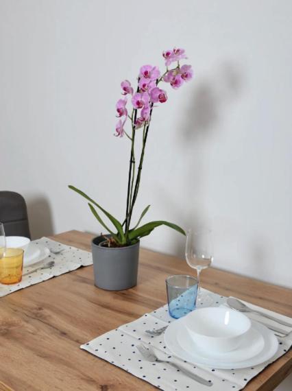Apartament Urban Wiedeń